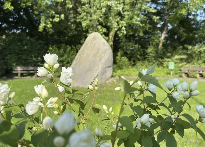 Haus Meerzeit - Altfunnixsiel Dom wakacyjny Wittmund